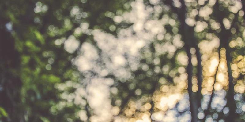 赛博朋克照进现实：Tofino芯片与P4语言如何重塑下一代数据中心网络